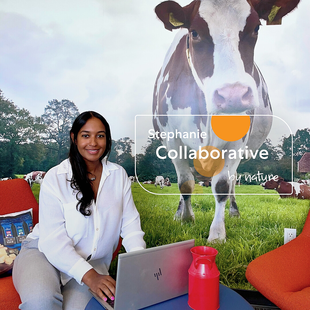 Stephanie - Collaborative by nature