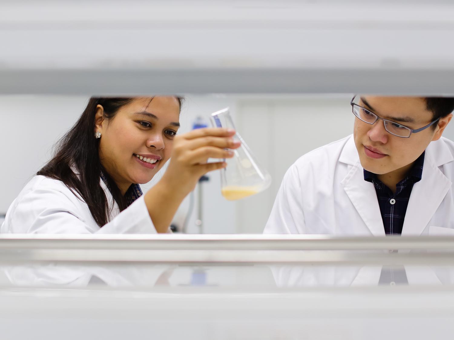 R&D employees at work