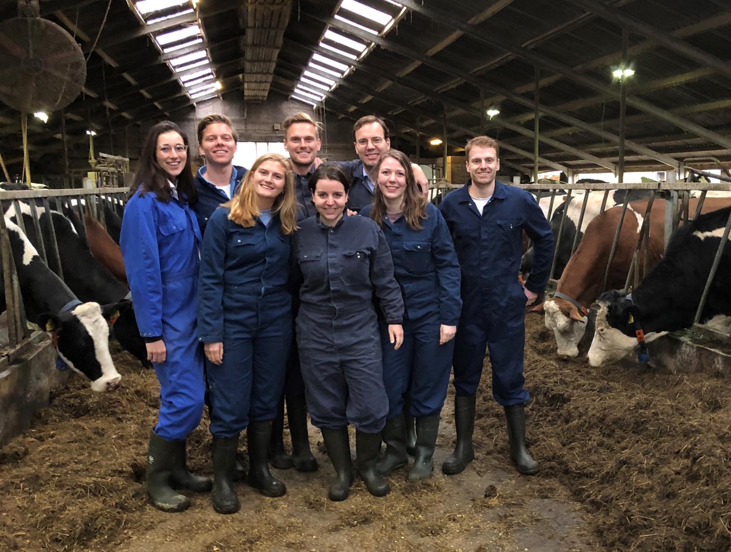 Group of 8 people dressed in farmer overalls with cows in the background