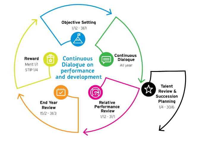 Performance Management Cycle 