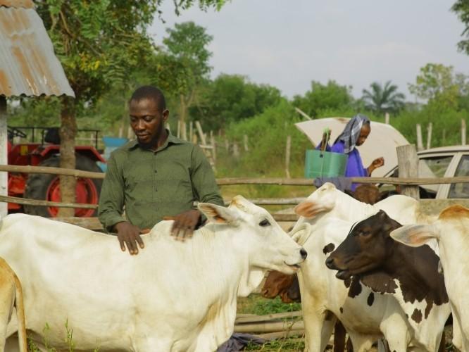 Dairy Development 