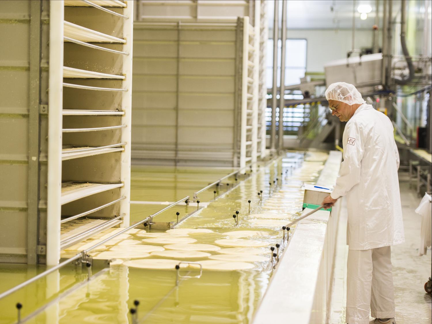 Cheese factory in the Netherlands